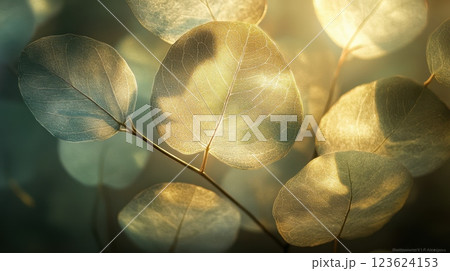 Light through vibrant leaves 123624153