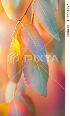 Sunlit colorful leaves 123624157