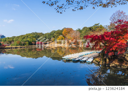 【紅葉】秋の奈良公園　鷺池 123624184