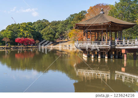 【紅葉】秋の奈良公園　浮見堂 123624216