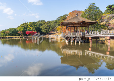 【紅葉】秋の奈良公園　浮見堂 123624217