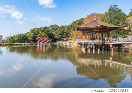 【紅葉】秋の奈良公園　浮見堂 123624218