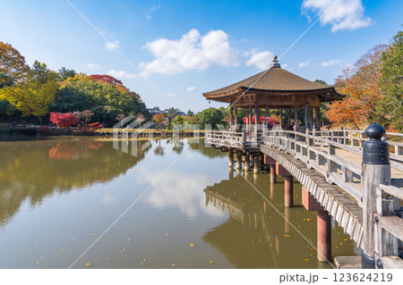 【紅葉】秋の奈良公園 浮見堂 【紅葉】秋の奈良公園 浮見堂 123624219