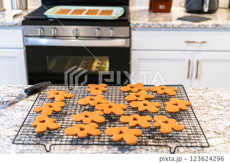 Freshly baked gingerbread cookies find their place on a cooling wire rack in a modern white kitchen, filling the air with festive aromas. Freshly baked gingerbread cookies find their place on a cooling wire rack in a modern white kitchen, filling the air with festive aromas. 123624296