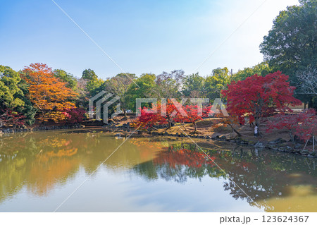 【紅葉】秋の奈良公園 【紅葉】秋の奈良公園 123624367