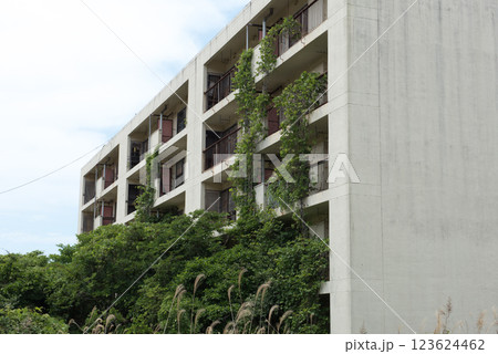 長崎県長崎市の長崎世界遺産の池島にあるコンクリート住居とつた 123624462