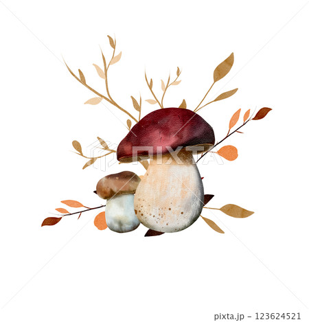Boletus and porcini mushroom with dry twigs. Watercolor composition. Botanical illustration with mushrooms and leaves. Isolated on a white background. For textiles, design and printing 123624521