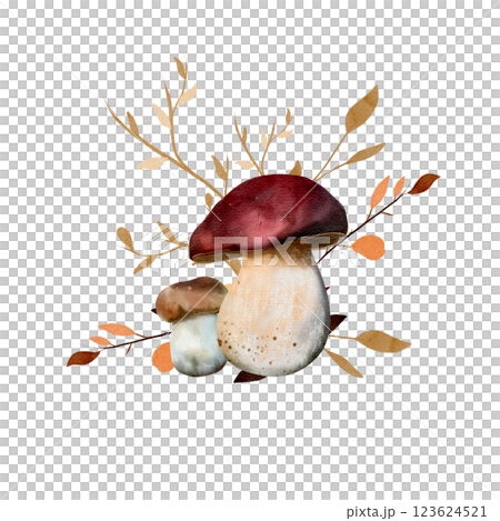 Boletus and porcini mushroom with dry twigs. Watercolor composition. Botanical illustration with mushrooms and leaves. Isolated on a white background. For textiles, design and printing 123624521