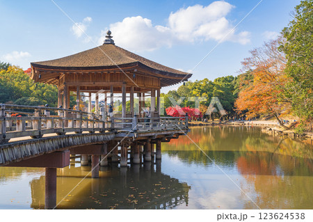 【紅葉】秋の奈良公園　浮見堂 123624538