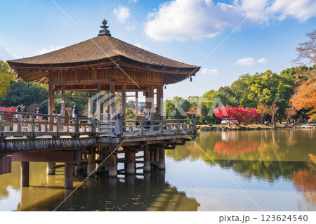 【紅葉】秋の奈良公園　浮見堂 123624540