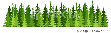Forest fir trees silhouette. Coniferous spruce horizontal background 123624682