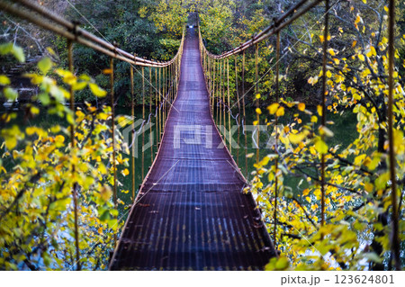 A narrow suspension bridge stretches through a lush autumn forest, surrounded by yellow leaves. The rusty metal path, covered with fallen leaves, leads into the distance, creating a mysterious. A narrow suspension bridge stretches through a lush autumn forest, surrounded by yellow leaves. The rusty metal path, covered with fallen leaves, leads into the distance, creating a mysterious. 123624801