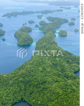 空から見たパラオの島 123624814