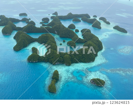 空から見たパラオのセブンティアイランド 123624815