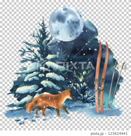 Winter landscape in the night forest with a fox, spruce trees, moon and snowdrifts, skis. Watercolor hand drawn illustration. Wildlife scene composition isolated from background 123624941