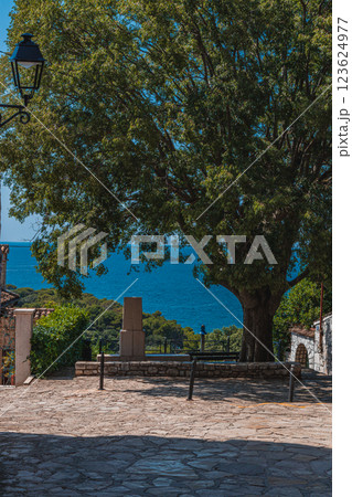 Serene coastal view with lush trees and cobblestone pathway at midday 123624977