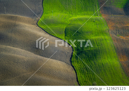Aerial view of agricultural fields with vibrant green and brown patches 123625123