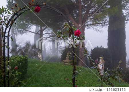 Archway Lined With Roses in a Lush Garden on a Misty Day Archway Lined With Roses in a Lush Garden on a Misty Day 123625153