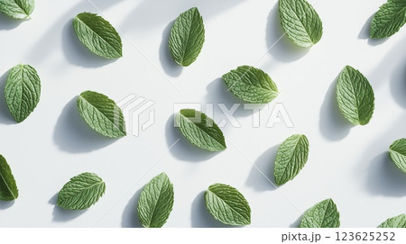 Fresh mint leaves arranged in pattern, top view background with natural texture 123625252