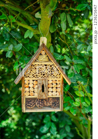Beautifully crafted small wooden birdhouse hanging from a tree branch in a serene garden setting Beautifully crafted small wooden birdhouse hanging from a tree branch in a serene garden setting 123625647
