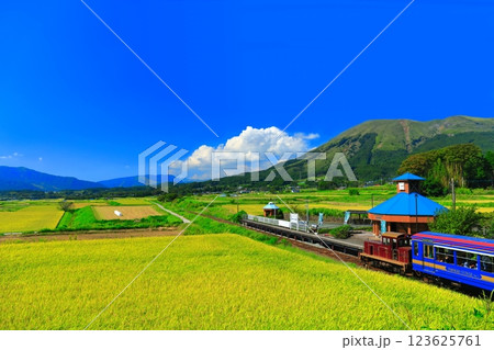 【熊本県】晴天の南阿蘇鉄道トロッコ列車と阿蘇山（白水高原駅） 123625761