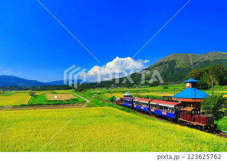 【熊本県】晴天の南阿蘇鉄道トロッコ列車と阿蘇山（白水高原駅） 123625762
