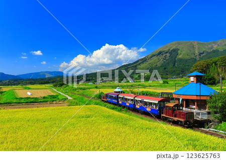 【熊本県】晴天の南阿蘇鉄道トロッコ列車と阿蘇山(白水高原駅) 【熊本県】晴天の南阿蘇鉄道トロッコ列車と阿蘇山(白水高原駅) 123625763