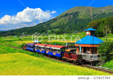 【熊本県】晴天の南阿蘇鉄道トロッコ列車と阿蘇山(白水高原駅) 【熊本県】晴天の南阿蘇鉄道トロッコ列車と阿蘇山(白水高原駅) 123625764