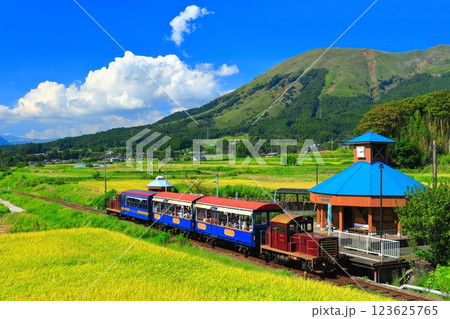 【熊本県】晴天の南阿蘇鉄道トロッコ列車と阿蘇山(白水高原駅) 【熊本県】晴天の南阿蘇鉄道トロッコ列車と阿蘇山(白水高原駅) 123625765