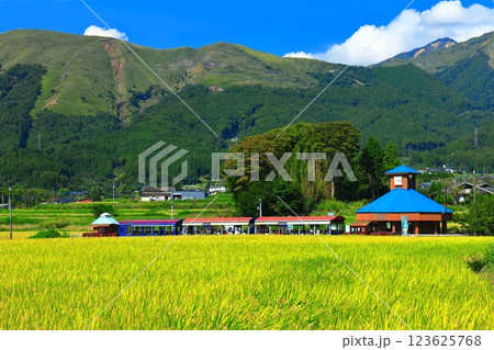 【熊本県】晴天の南阿蘇鉄道トロッコ列車と阿蘇山（白水高原駅） 123625768