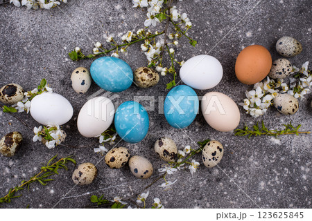 Easter eggs in blue color Easter eggs in blue color 123625845