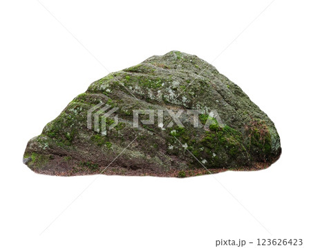 stone covered with moss isolated on white background stone covered with moss isolated on white background 123626423