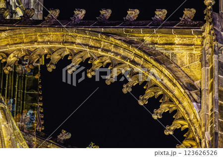 Prague landmark St. Vitus Cathedral in Hradcany 123626526