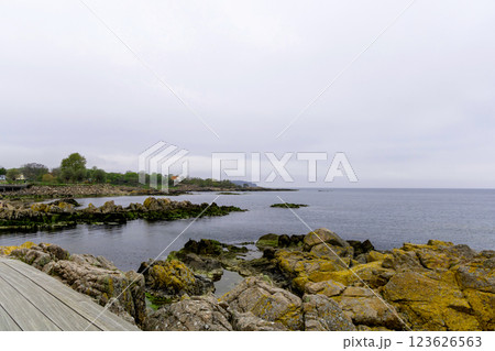 Coast line of sea. Stones covered with yellow and green moss and cloudy sky. 123626563