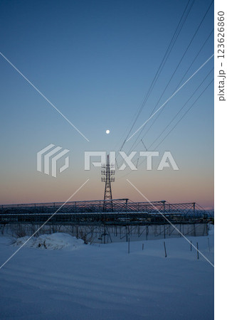 雪が積もった畑と送電線の鉄塔 123626860