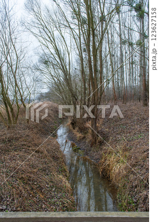 Landscape of an unusually snow-less february day in forest, frozen winter stream Landscape of an unusually snow-less february day in forest, frozen winter stream 123627158