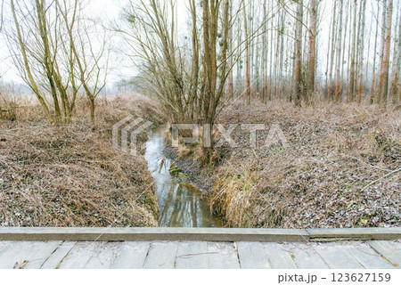 Landscape of an unusually snow-less february day in forest, frozen winter stream Landscape of an unusually snow-less february day in forest, frozen winter stream 123627159