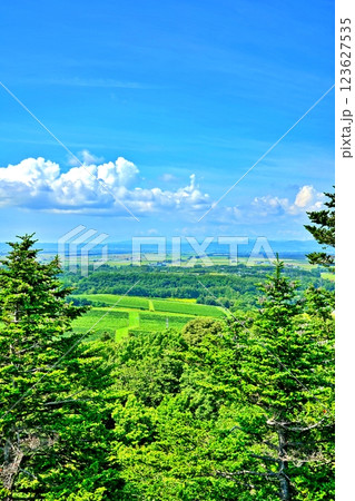 広大な北海道三笠市のぶどう畑と空知平野のパノラマ 広大な北海道三笠市のぶどう畑と空知平野のパノラマ 123627535