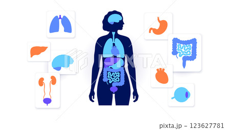 Human internal organs 123627781