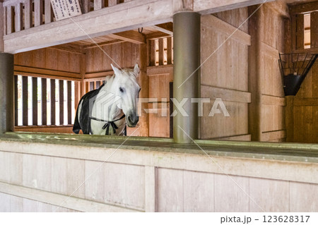 豊受大神宮（伊勢神宮外宮）御厩 123628317