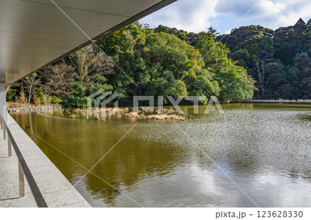 豊受大神宮（伊勢神宮外宮）まがたま池 123628330