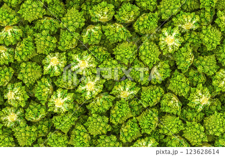 Romanesco broccoli background, wallpaper. 3D rendering Romanesco broccoli background, wallpaper. 3D rendering 123628614