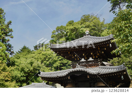 日本の厳島神社のある広島県宮島の山、弥山みせん 日本の厳島神社のある広島県宮島の山、弥山みせん 123628814