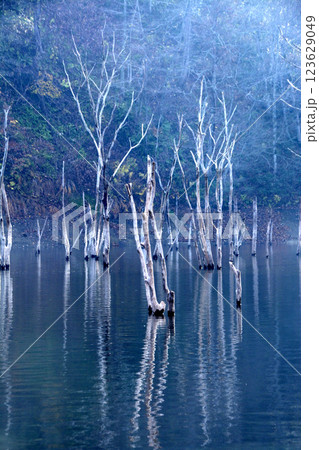 湖水 湖水 123629049