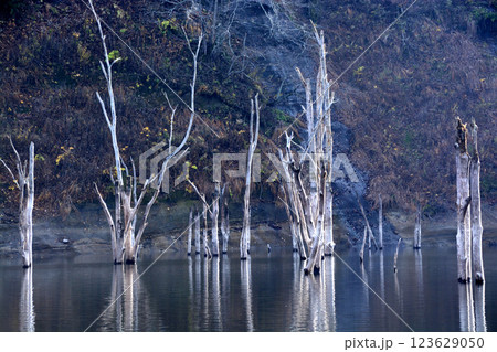 湖水 湖水 123629050