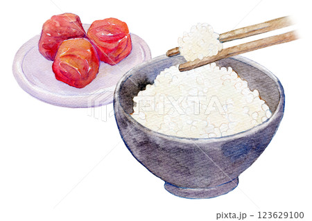 水彩イラスト 炊き立ての白いご飯と梅干しのセット 水彩イラスト 炊き立ての白いご飯と梅干しのセット 123629100