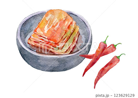 水彩イラスト 自家製のキムチ 水彩イラスト 自家製のキムチ 123629129