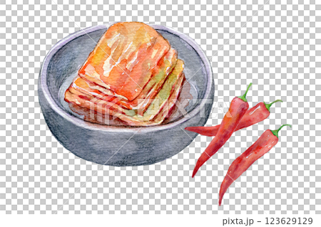 水彩イラスト 自家製のキムチ 水彩イラスト 自家製のキムチ 123629129