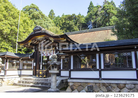 大鳥神社 本殿 大鳥神社 本殿 123629175