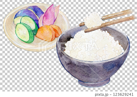 Watercolor illustration: Set of freshly cooked white rice and pickles 123629241
